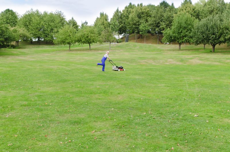 Completed Lawn Mowing