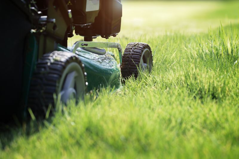 Close-Up of Freshly Cut Grass